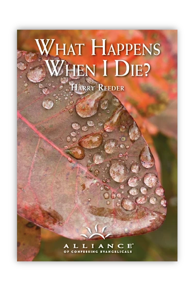 What Happens When I Die? (mp3 Download Set)