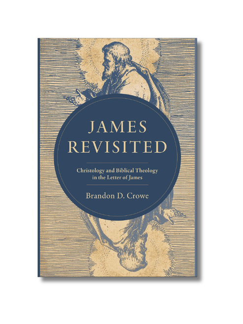 James Revisited: Christology and Biblical Theology (Paperback)