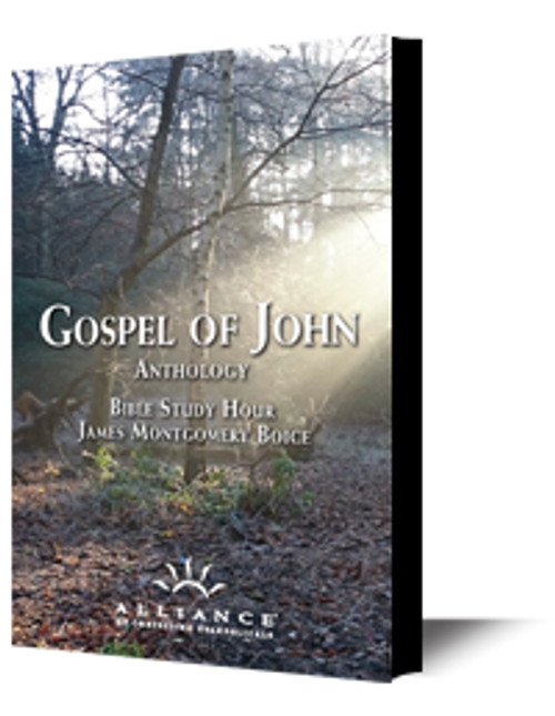 Introducing John's Gospel // Jesus Christ is God (CD)