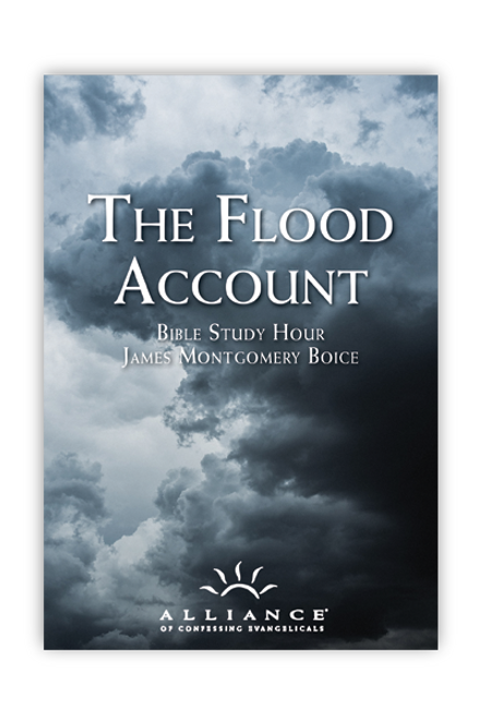 The Flood Account (mp3 Disc)