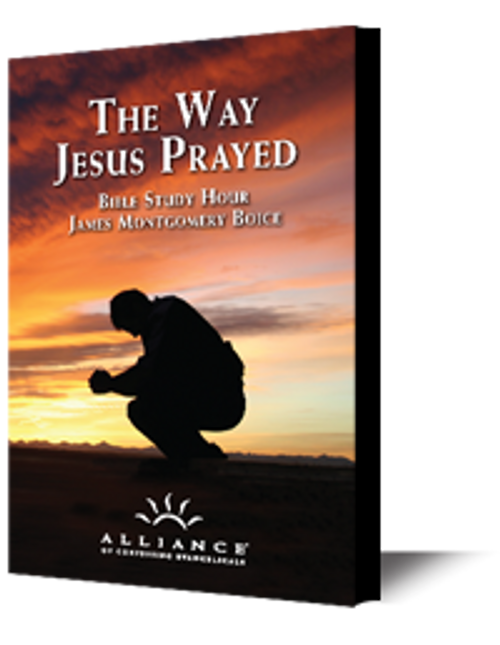 The Way Jesus Prayed (mp3 Disc)
