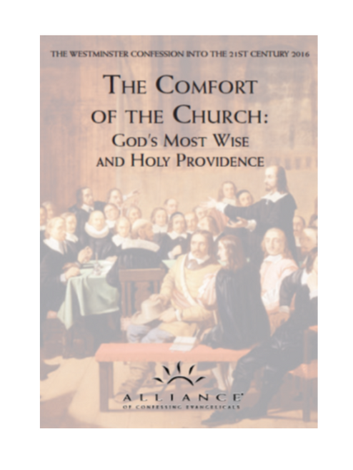 The Comfort of the Church: God's Most Wise and Holy Providence (CD Set)