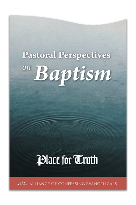 Pastoral Perspectives On Baptism (pdf download)