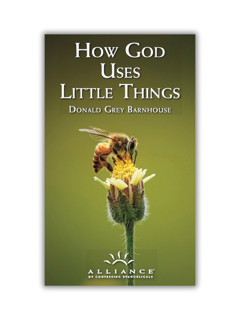 How God Uses Little Things (pdf Download)