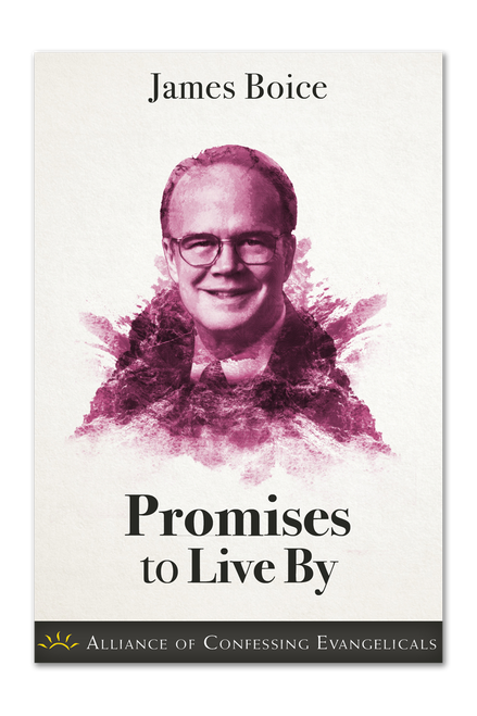 Promises to Live By (Booklet) Promises to Live By (Booklet)