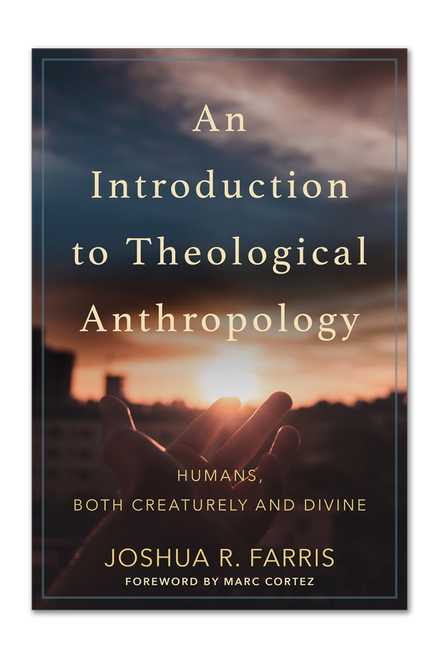 An Introduction to Theological Anthropology (Paperback)