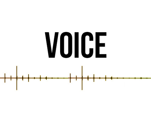 VOICE MUSIC PACK