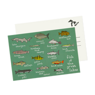 Great Lakes Fish Postcard