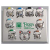 Hygenic Fiesta Rubber Dam Clamp Winged Size 9 Color Coded Kit Box