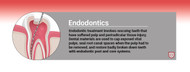 Endodontic