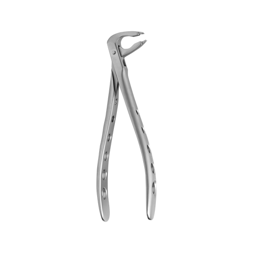 36 Lower Incisors Atraumair Extraction Forceps