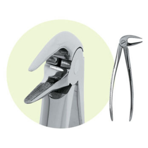 Premier, Forceps LRG, 9065044