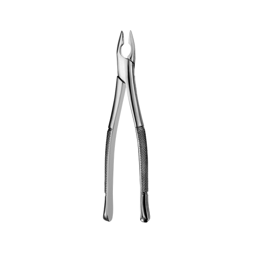 AF1 Standard Apical Upper Anteriors Extraction Forceps