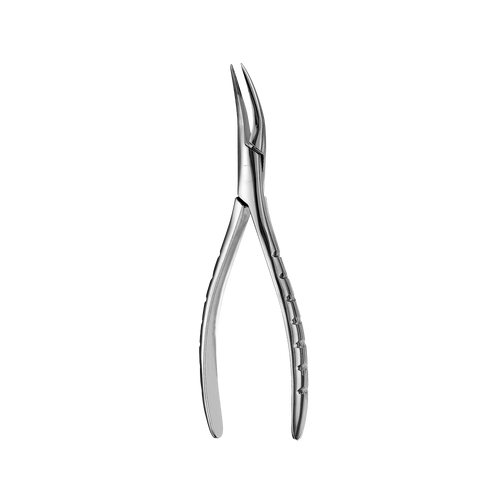 300 Upper Roots Serrated Extraction Forceps