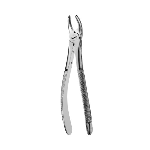 17 European Style Forceps, Upper Molar, Right
