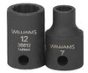Williams 10MM Williams 3/8" Dr Shallow Impact Socket 12 Pt - 36610 