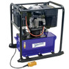 Williams 10 Gal Williams Diesel Engine Pump - 4Way-3Position - 5D73H10G 