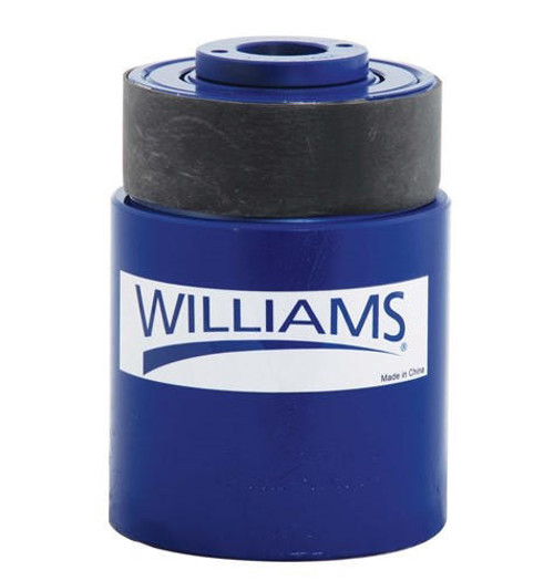 Williams Adjustable Wrist Strap Velcro Closure D Ring - WTHWS1 Pro Tool  Warehouse