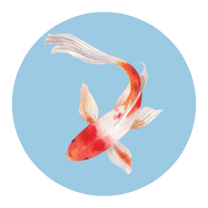 Fish doxy