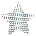 NIPPLE COVERS STAR HOLOGRAM SILVER PASTIES