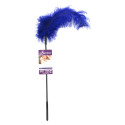 Fantasy Feather Body Tickler