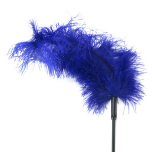 Fantasy Feather Body Tickler