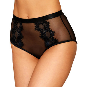 HIGH WAISTED MESH PANTY WITH CONTRAST GARTERS
