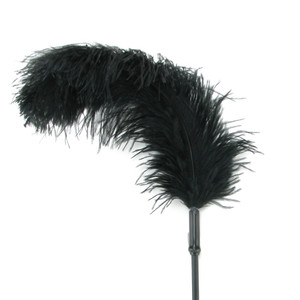 Fantasy Feather Tickler In Black