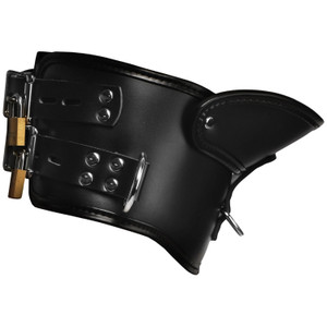 RIGID LOCKING POSTURE COLLAR