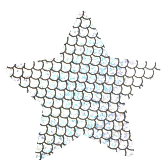NIPPLE COVERS STAR HOLOGRAM SILVER PASTIES