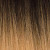 Mane Concept Brown Sugar Ponytail "BSWNT15 Straw Coil  WNT 10" #T1B/27