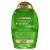 Ogx Teatree Mint Shampoo