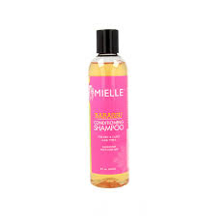 Mielle Shampoo