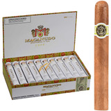 Macanudo Cigars Cafe Thames Tubos 20 Ct. Box 6.00X50