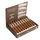 Plasencia Alma del Campo Guajiro 5.5 x 54.0 cigar pack, featuring elegant packaging and premium cigars displayed inside.