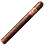 Punch Double Corona Maduro Cigars 25Ct. Box, close-up of a single Maduro cigar with a reddish-brown wrapper and Punch band.