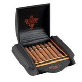 Gurkha Avenger G5 Torpedo Cigars 20Ct. Box, open cigar box displaying 20 torpedo-shaped cigars inside.