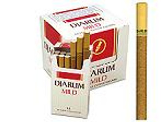 Kretek International Djarum Filtered Clove Cigars Mild, pack of 10/12 with a cigarette pack and a single cigar shown.