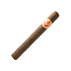 Punch Chateau L Cigars Maduro Churchill 25Ct. Box, image of a single smoked cigar with a red and gold band on a plain white background.