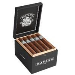 General Cigar Mayans M.C. Toro Cigars 20Ct. Box, open box showing 20 premium cigars inside a wooden lining, with the logo on the cigar bands and the box exterior. General Cigar Mayans M.C. Toro Cigars 20Ct. Box, open box showing 20 premium cigars inside a wooden lining, with the logo on the cigar bands and the box exterior.