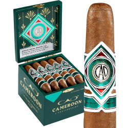 CAO L'Anniversaire Cameroon Perfecto Cigars 20Ct. Box, featuring a green and gold decorative box containing 20 cigars with Cameroon wrapper and a close-up of a single cigar with detailed band design. CAO L'Anniversaire Cameroon Perfecto Cigars 20Ct. Box, featuring a green and gold decorative box containing 20 cigars with Cameroon wrapper and a close-up of a single cigar with detailed band design.