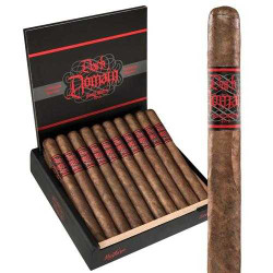Dark Domain Maduro Robusto Cigars 20Ct. Box
