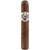 AVO Cigars Classic Maduro Robusto 25 Ct Box 5.00x50, a premium cigar with a dark Maduro wrapper, displayed vertically with a detailed brand logo sticker on the band.