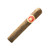 Punch Magnum Oscuro Cigars 25Ct. Box, a single large cigar with a brown wrapper and red and gold band.