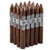 Arganese Maduro Torpedo Cigars Pack of 20, image showing a pack of 20 puros cigars with dark Maduro wrappers and Arganese branding labels.