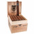 Asylum 13 Seventy Gordo Cigars 30Ct. Box, wooden cigar box containing 30 cigars with one cigar displayed upright, featuring black and metallic band, with logo and branding on the box.