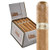 Cuban Honeys Vanilla Cigars 24Ct. Pack, a box of vanilla-flavored cigars with a single cigar placed upright beside it showing its golden brown wrapper and branded band.