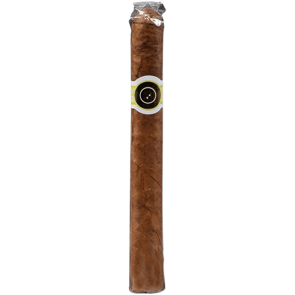Macanudo Cigars Cafe Ascots 10/10 Tins 4.19X32
