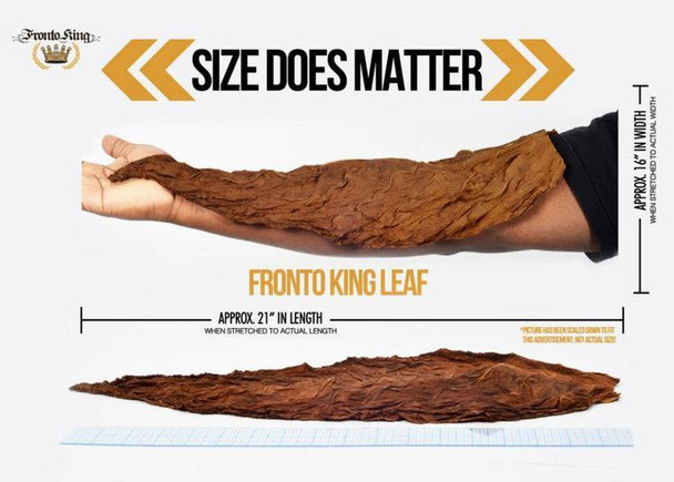 Fronto Leaf Fronto King Natural Tobacco Leaf Honey, large dried tobacco leaf stretched on a hand and laid out on a surface, showing its size and texture for smoking or rolling.