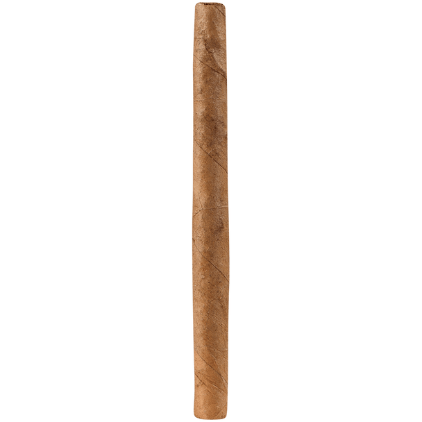 CAO Cigars Gold Label Mini 5/20 Packs 5.00X20